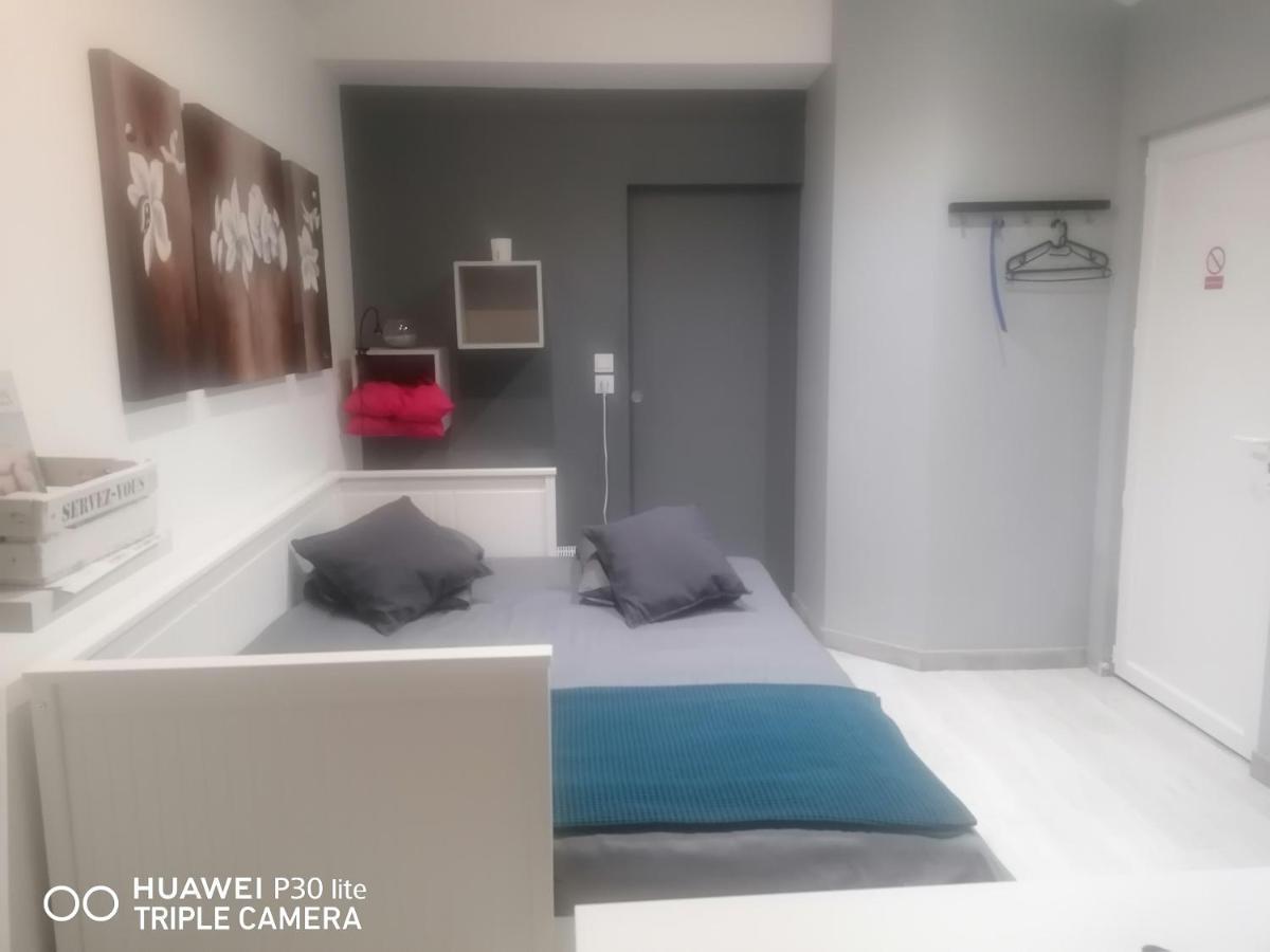 Petit Nid Douillet Apartamento Reventin-Vaugris Exterior foto